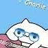 Imagine Cat We Don T Talk Anymore