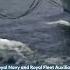 Slick Teamwork As Ships Refuel At Sea