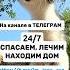 Гнездо в вольере и что теперь делать помощьбездомнымживотным животные непокупайприюти