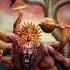 Sri Narasimha Mantra
