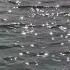Sunlit Water Calm