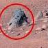 Mars Curiosity Rover Latest 01 Quicksolutions Data Mars