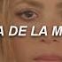 Shakira Ozuna Monotonía Letra Lyrics Fue Culpa De La Monotonía