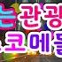 신나는관광버스디스코메들리 남도여행의마지막밤 목포 영암야경 목포대교 뽕짝메들리 트로트메들리 2021 03 03