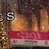 Christmas At Hogwarts Magical Readathon Tbr