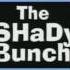 Hi My Name Is Slim Shady