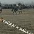 Сайхун и Жайхун