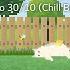 Study With Cats Animation X Pomodoro 30 10 Spring Study In The Backyard Chill Beats Mix