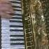 Порвал зал Танго на аккордеоне в Аргентине Accordionist