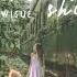Vietsub Someone S Shining Wisue