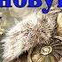 Might Magic Heroes VII 14 Некрополис 2 3 Создал новую столицу