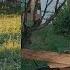 ТЕПЕРЬ У НАС ЕСТЬ ВОДА Пришлось выкопать ВСЕ ЦВЕТЫ КЛУБНИКУ КАК Я СЭКОНОМИЛА НА СОРТОВЫХ ТЮЛЬПАНАХ