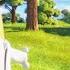 The Minions Sing I Swear And YMCA Despicable Me 2 TUNE
