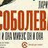 Аудиокнига Он и она минус он и она Лариса Соболева