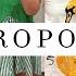 ANTHROPOLOGIE WITH CANDICE