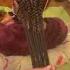 Fire Heart Braid Cornrows Done By Me Braids Hairstyle Heart Natural