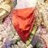 Radhe Radhe Radhe Radhe Govinda