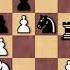 Alexander Beliavsky Vs John Nunn 1985 Hoogovens