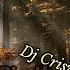 Phelipe Ce Mi Ai Facut Dj Criswell Remix