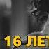 Анорексия и булимия 16 лет зависимости Ем из мусорки