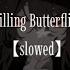 Lewis Blissett Killing Butterflies Slowed Reverb