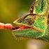 The Most Unbelievable Wonders Of The Amazon Rainforest Documentary
