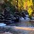 River Flow And Birds Sound With Beautiful Relaxing Music