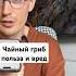 Польза и вред чайного гриба здоровье красота напитки чай грибы ии нейросеть блогер еда