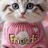 APT By Cat Must Listen Apt Cat Catsinging