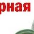 Тайская кулинарная школа без мифов и предрассудков