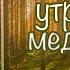УТРЕННЯЯ МЕДИТАЦИЯ настройка на день