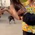 You Will Not Stop Laughing Shortsfeed Fun Tiktok Safa Funny Comedy 123go Lisa Youtube Lisa