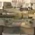 Амурские волны