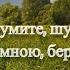 Вы шумите берёзы