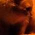 Мой кот играет на гитаре My Cat Is Playing On The Guitar