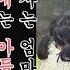 아들은 연애 중 엄마 조세호 Cho Sae Ho 는 장사 중 날보러와요 4회