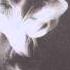 Domo Genesis More Clouds Ft Remy Banks