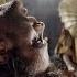 Goltzius The Pelican Company Trailer