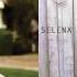 Your Jetpack Blues Fall Out Boy Vs Selena Gomez Mashup