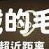 酥音系列 绒绒的毛毯按揉你的耳朵 近距离轻语和绒毛棒掏耳 含壁炉背景音