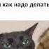 Разговоры о важном