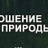 Взаимоотношение человека и природы из лекции по северной магии