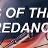 Poets Of The Fall Firedancer Lyrics Sub Español