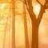 Beautiful Instrumental Hymns About Prayer And God S Help For Your Troubles Relaxing Peaceful