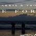 Martin Garrix David Guetta So Far Away Feat Jamie Scott Romy Dya Lil Tom Bootleg