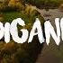 Bob Sinclar Feat Sofiya Nzau Digane