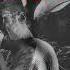 Seedhe Maut X Dhanji Type Beat MKC Hard Bouncy Trap Beat