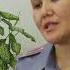 LIVE Ала Тоо 24 Выпуск новостей пятница 09 08 2019 15 00