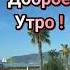 Релакс Турция с Вами сейчас Доброе утро Музыкальная открытка Turkey Is Waiting For You Shorts