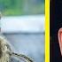 Fans LOVED The Floki In Vikings Season 5 Here S Why